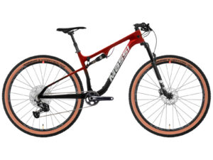 BICI MASSI AIRE CARBON