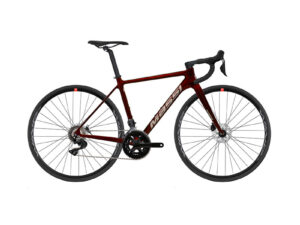 BICI MASSI TEAM RACE/105 DISC MIX DI2