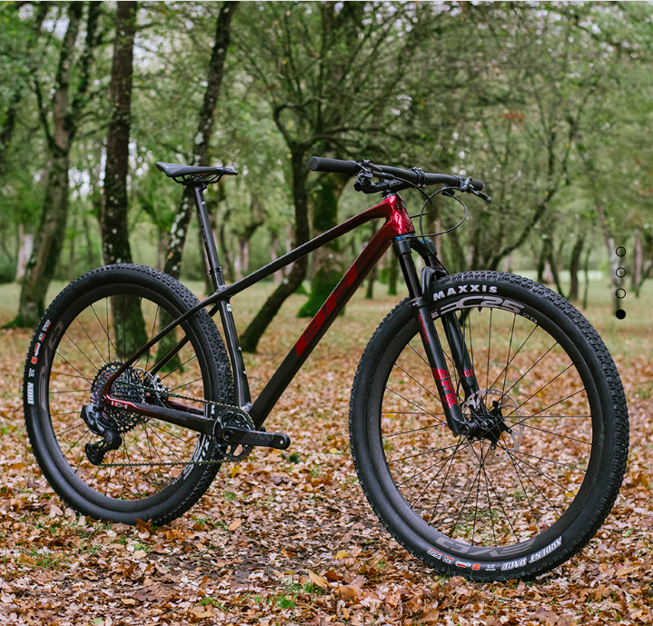 LYNX RACE, ULTIMATE, LYNX RACE RC, ULTIMATE RC - T-Bikes LYNX RACE, ULTIMATE, LYNX RACE RC, ULTIMATE RC - T-Bikes