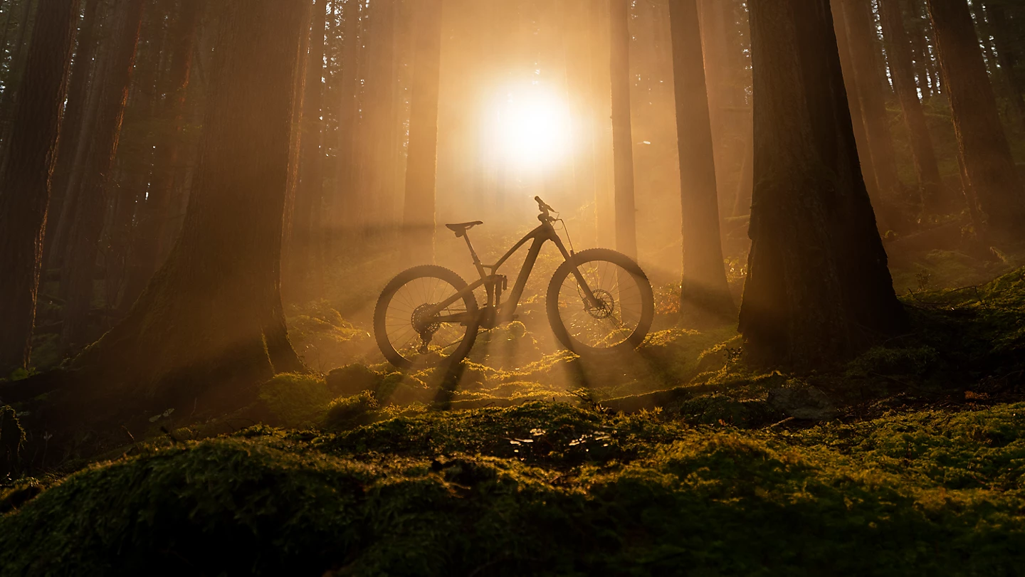 TREK Fuel EXE Una nueva raza de bicicletas de montaña T-Bikes TREK Fuel EXE Una nueva raza de bicicletas de montaña T-Bikes