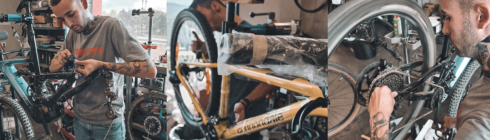 tbikes-3