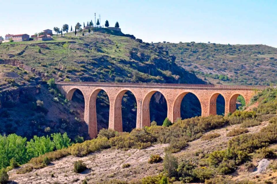 via verde ojos negros 1