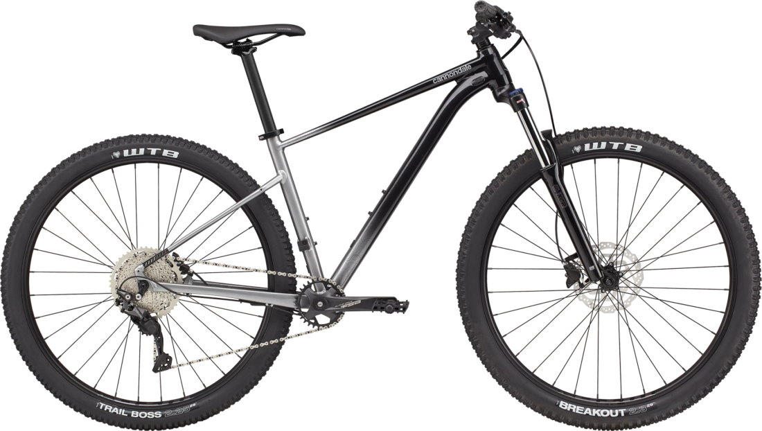 Cannondale Trail SE 4 Grey