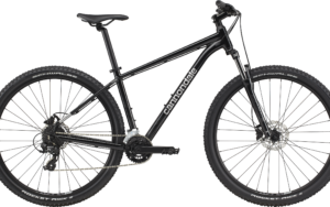 Cannondale 29 M Trail 8 GRY