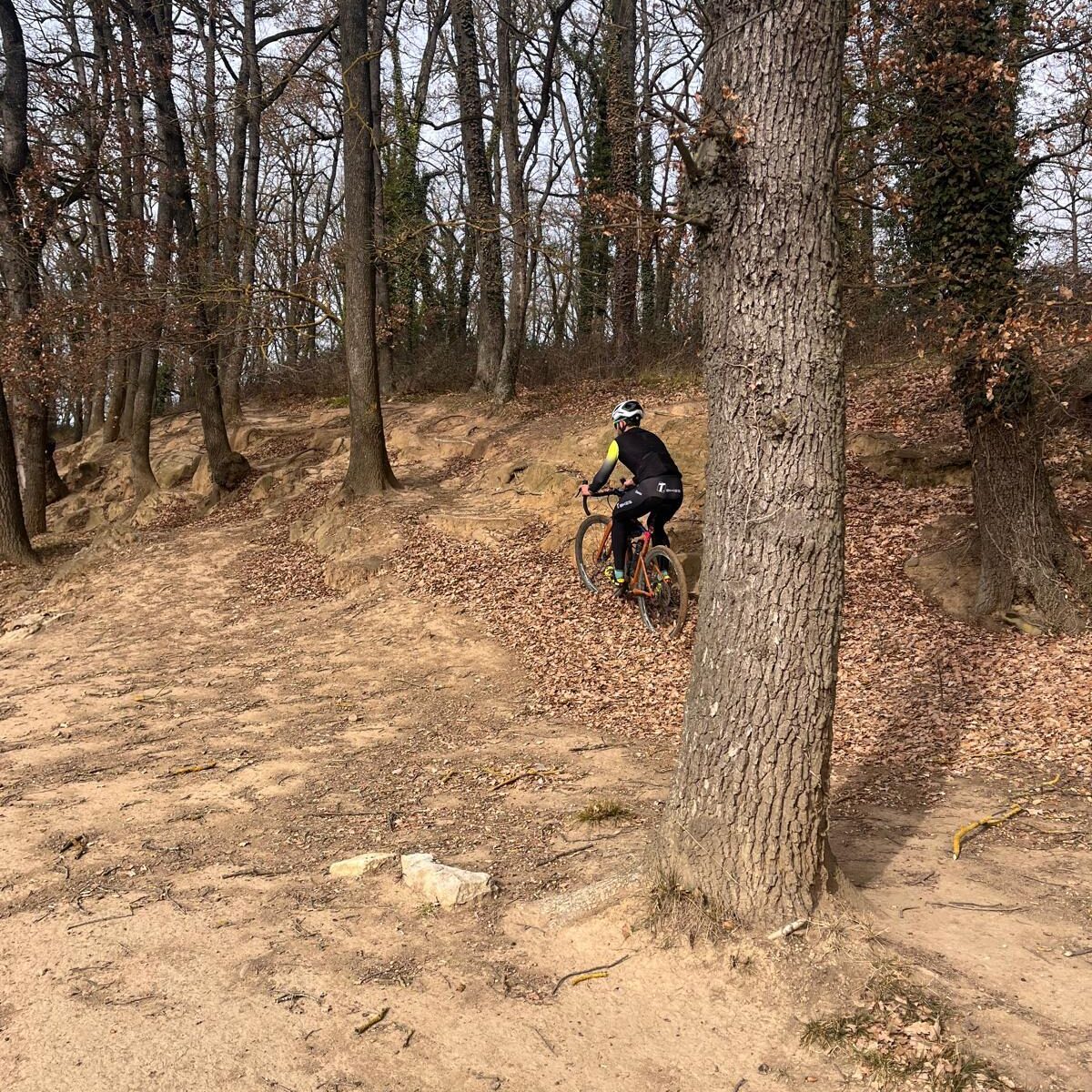 T-Bikes Experiences Sortida BTT/Gravel Lliça d’Amunt/Collsuspina i tornada