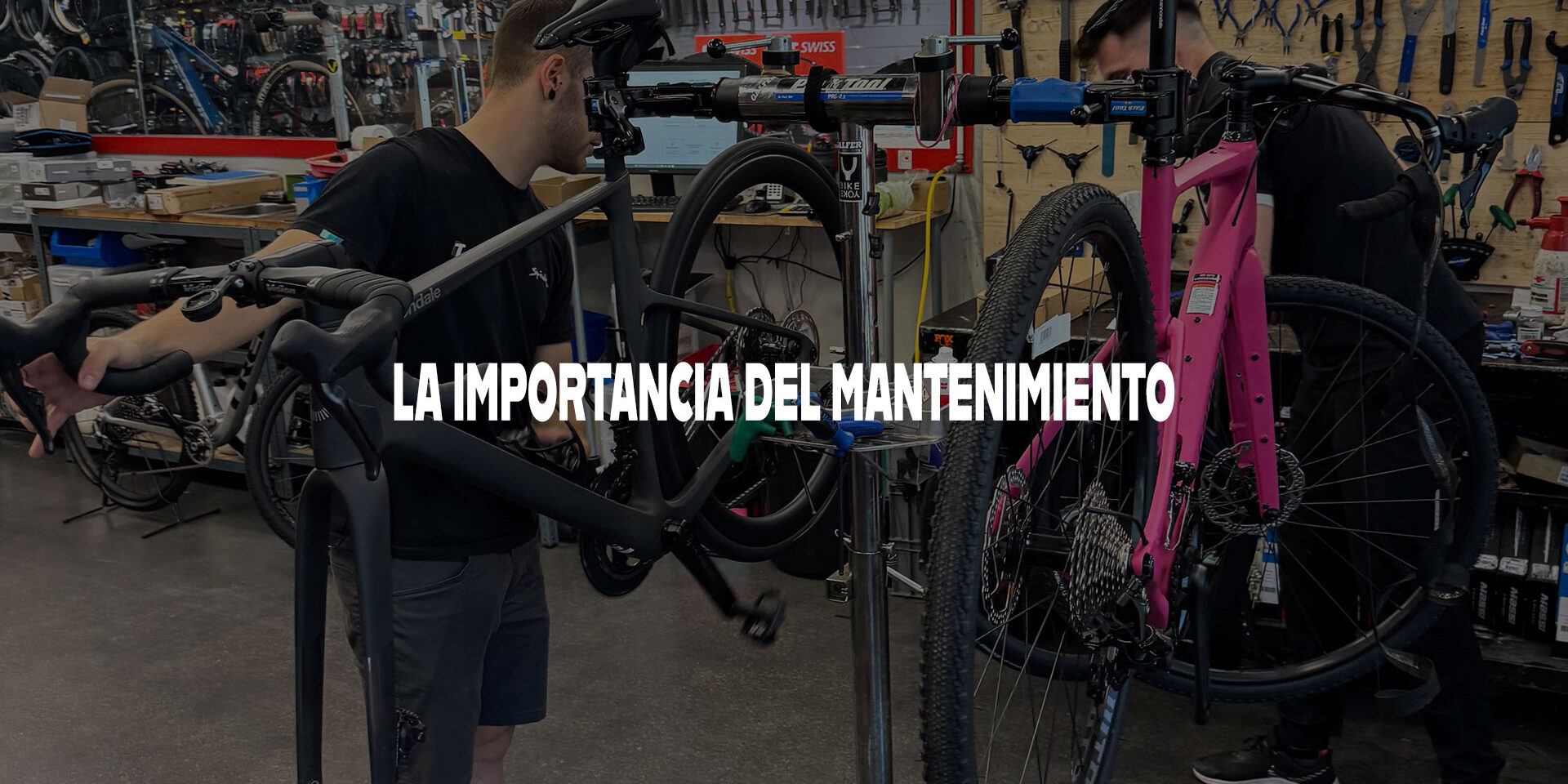 La Importancia del Mantenimiento en un Bicicleta La Importancia del Mantenimiento en un Bicicleta