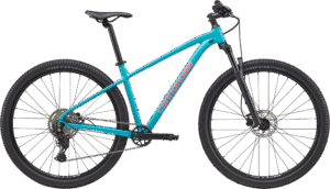 Cannondale 29 U Trail 2 IBL