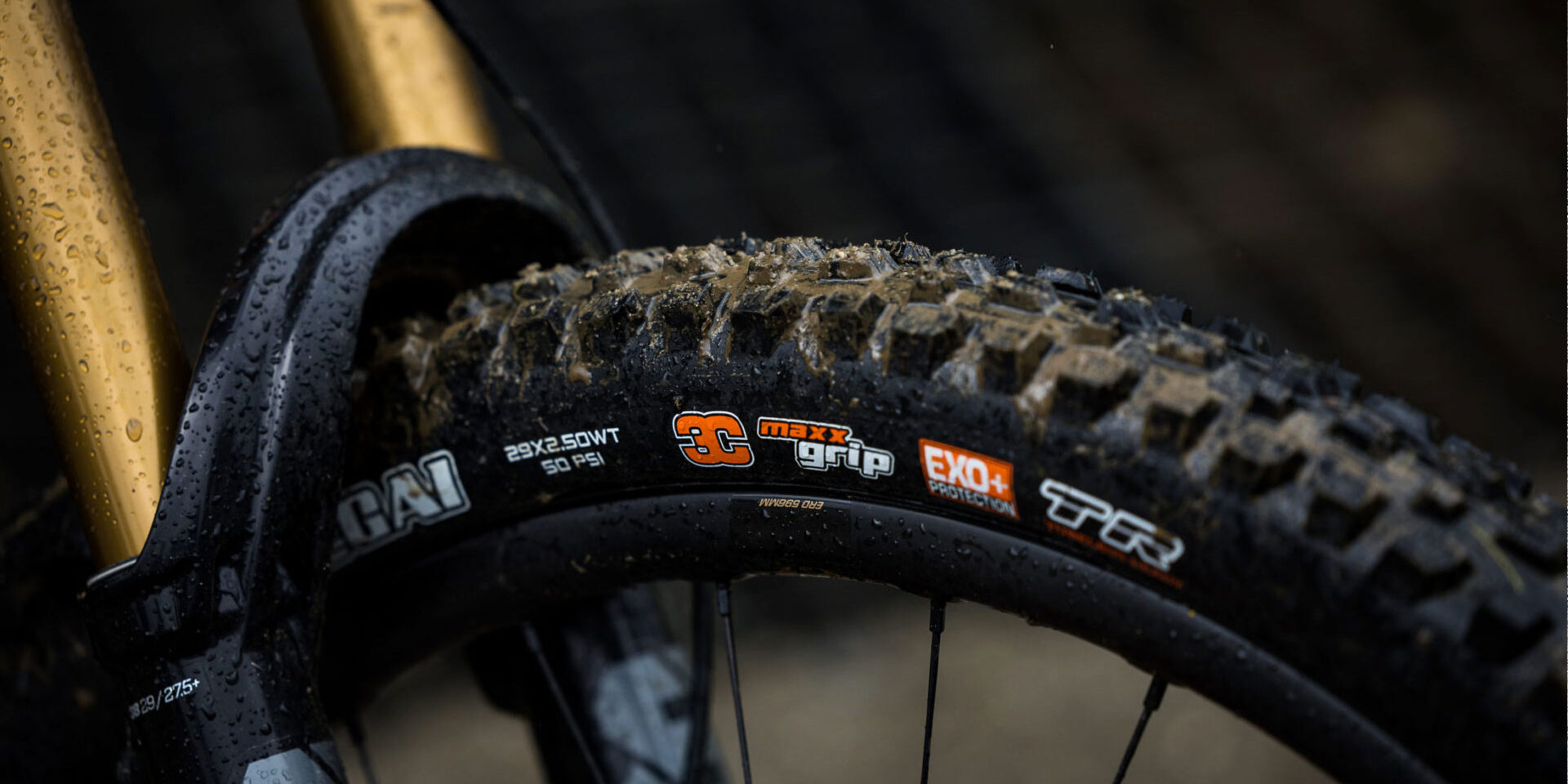 Cubiertas BTT y eBTT Cubiertas BTT y eBTT