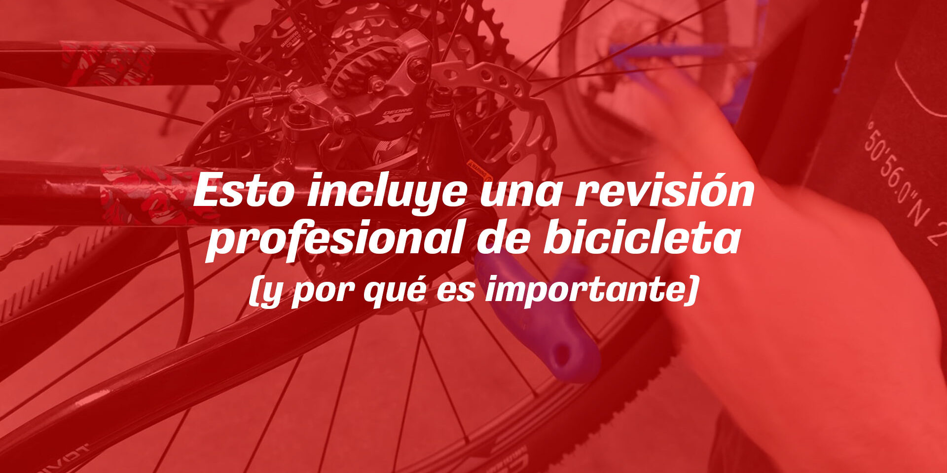 Qué incluye una revisión profesional de bicicleta (y por qué es importante) Taller T-BIkes