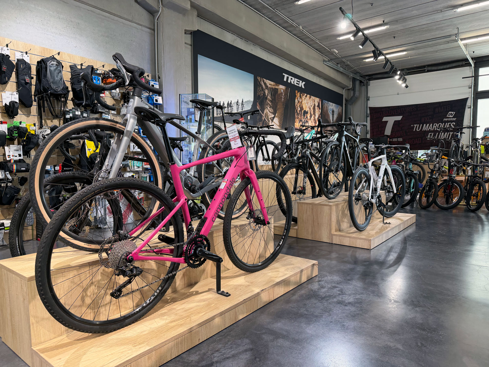 Cómo elegir una bicicleta de carretera según tus rutas y tu nivel