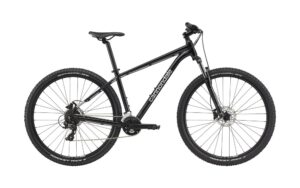 Cannondale 29 M Trail 8 GRY