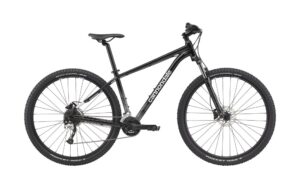 Cannondale 29 M Trail 7 BLK XL (x)