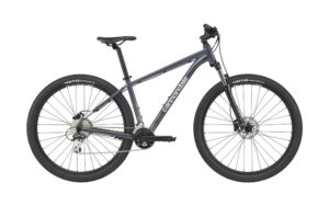 Cannondale 29 M Trail 6 SLT LG (x)