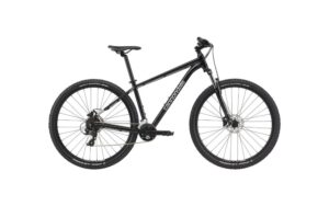 Cannondale 29 M Trail 8 GRY