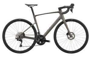 Bicicleta Addict 50 Gris M