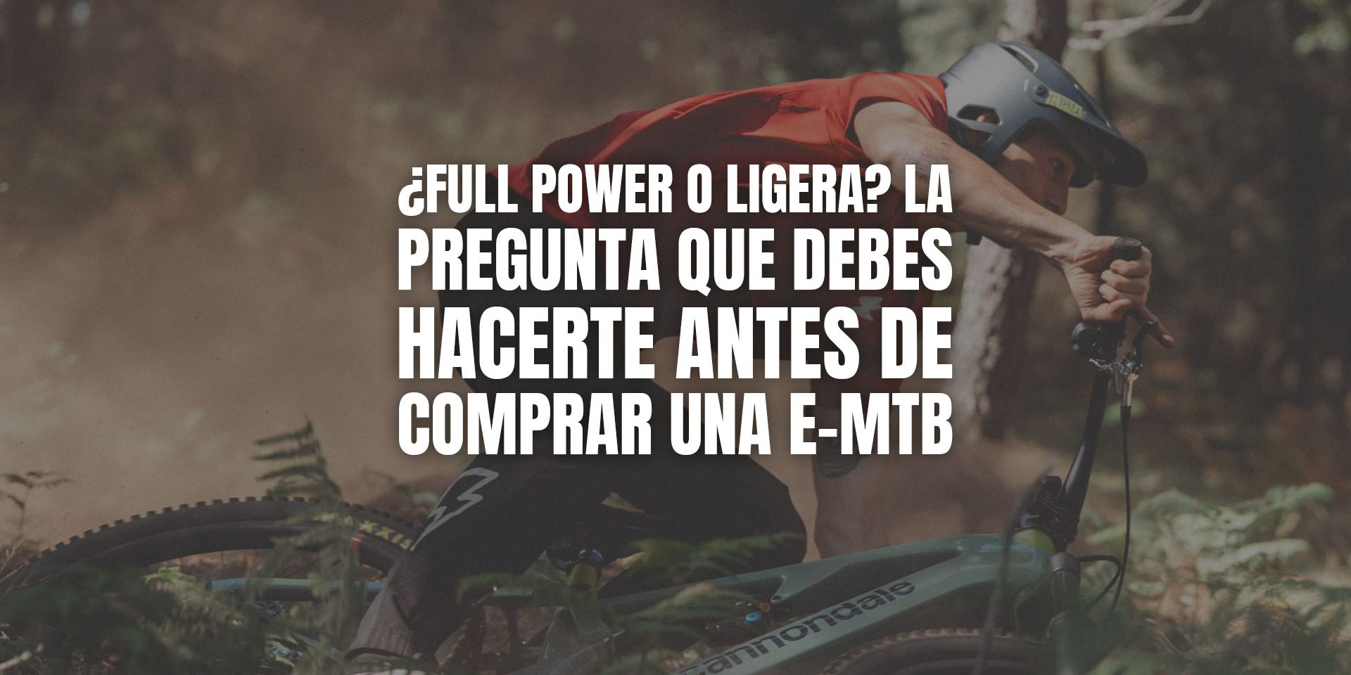 ¿Full power o ligera? La pregunta que debes hacerte antes de comprar una e-MTB ¿Full power o ligera? La pregunta que debes hacerte antes de comprar una e-MTB